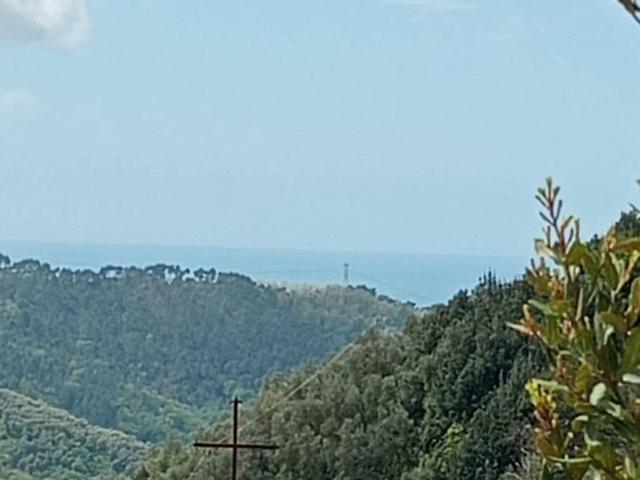 Villa Indipendente in vendita a Torcigliano, Camaiore