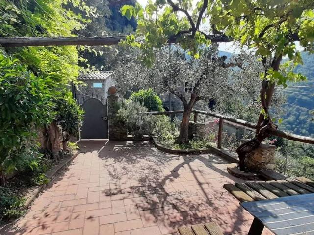 Villa Indipendente in vendita a Lombrici, Camaiore
