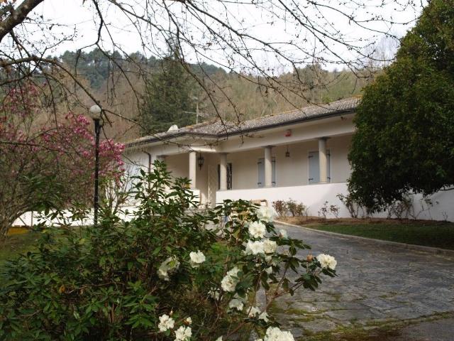 Villa Indipendente in vendita a Migliano, Camaiore