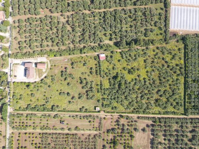Villa Indipendente in vendita a Pezzarotonda, Campagna