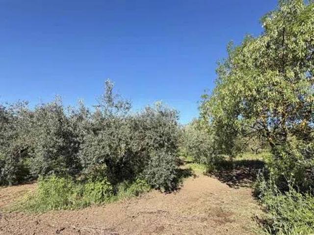 Villa Indipendente in vendita a Marrucheti, Campagnatico