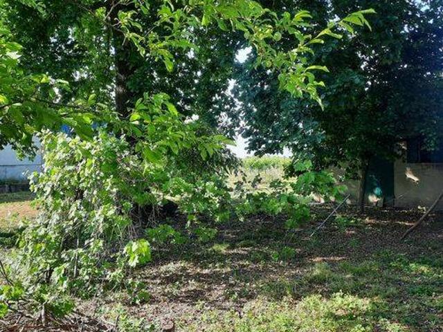 Villa Indipendente in vendita a Pianura Reggiana, Re