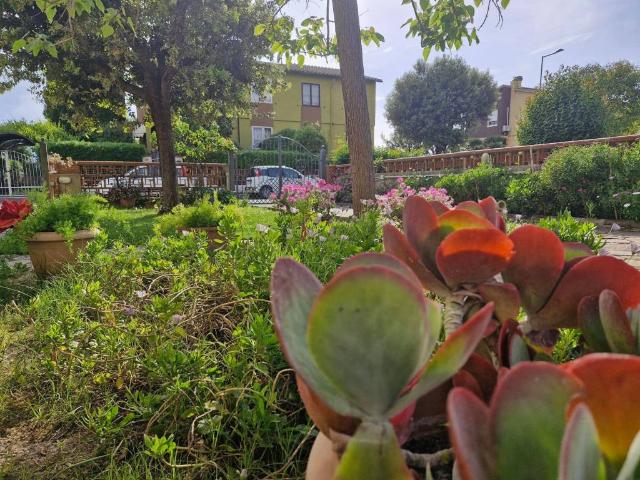 Villa Indipendente in vendita a Venturina Terme, Campiglia Marittima