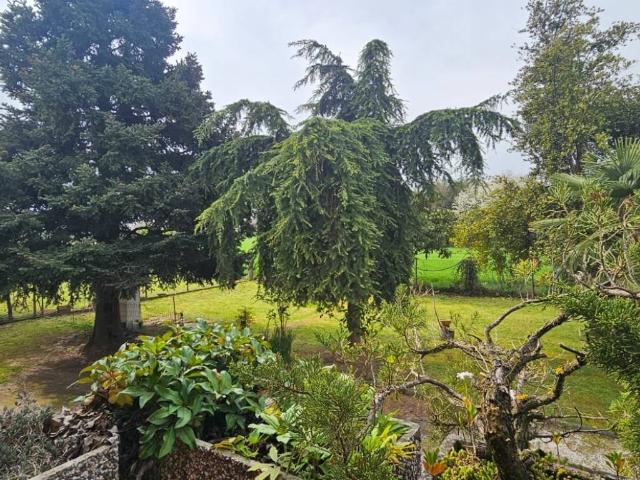 Villa Indipendente in vendita a Campoverardo, Camponogara