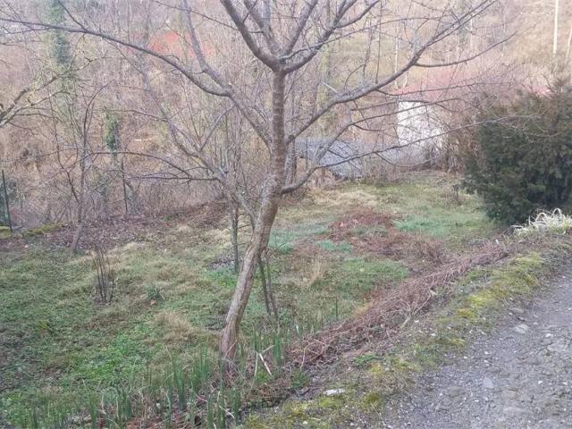 Villa Indipendente in vendita a Poggio, Camporgiano