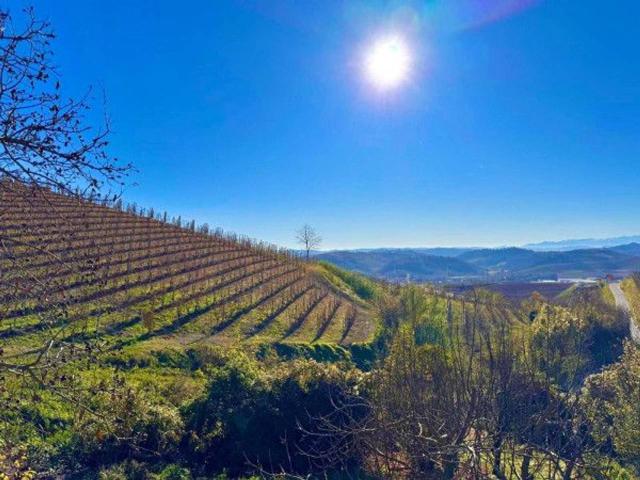 Villa Indipendente in vendita a Mompellini, Piemonte
