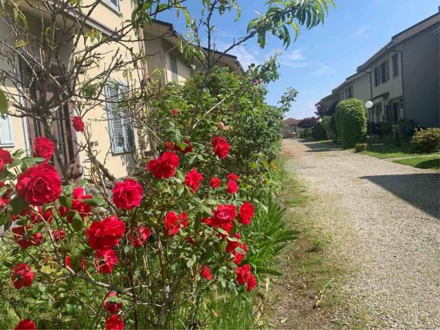 Villa Indipendente in vendita a Candia Lomellina, Lombardia
