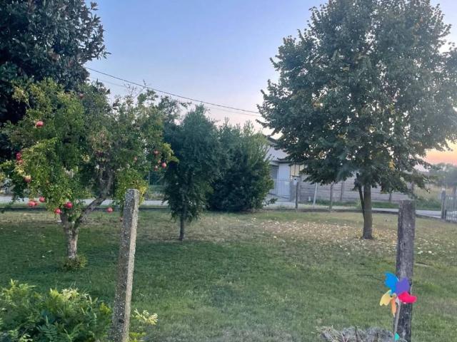 Villa Indipendente in vendita a Cuccato, Candiana
