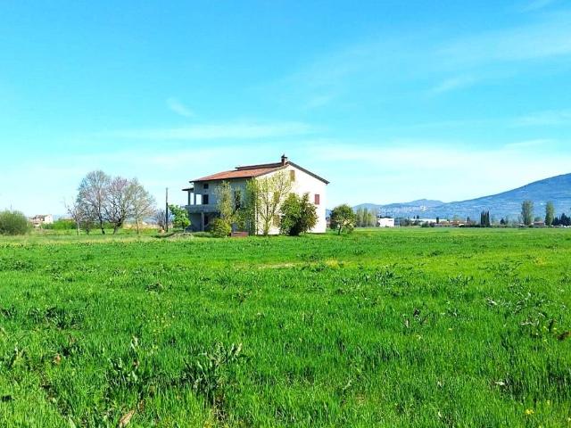 Villa Indipendente in vendita a Cannara, Umbria