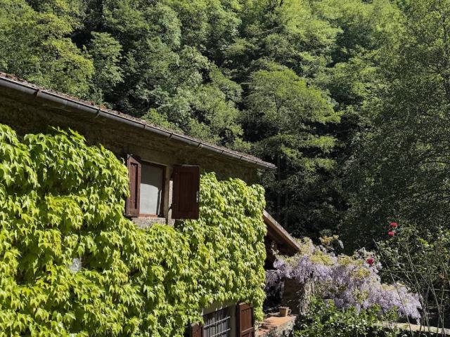 Villa Indipendente in vendita a Cantagallo, Toscana