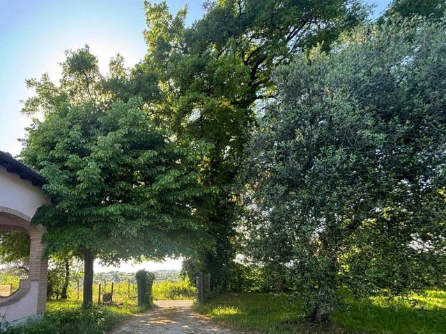 Villa Indipendente in vendita a Cantalupo In Sabina, Lazio
