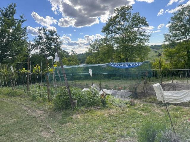 Villa Indipendente in vendita a Piemonte, Asti