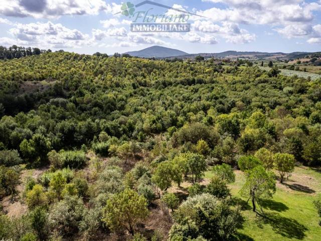 Villa Indipendente in vendita a Capalbio, Toscana