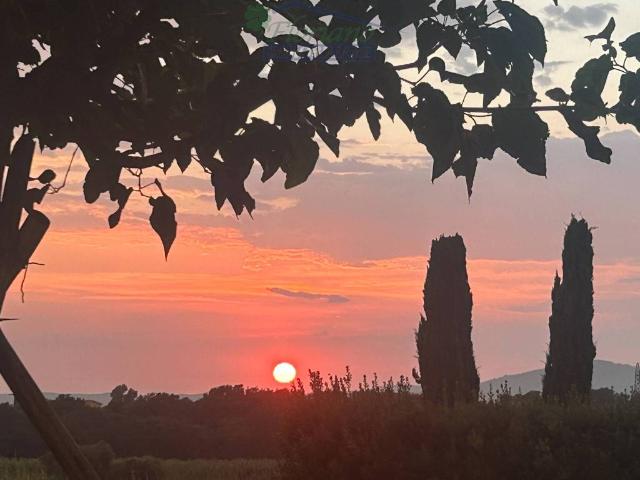 Villa Indipendente in vendita a Capalbio, Toscana