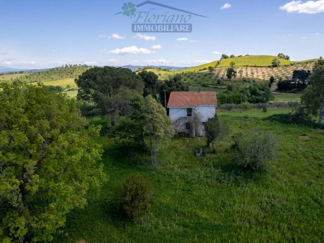 Villa Indipendente in vendita a Capalbio, Toscana