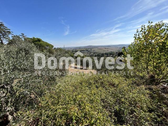 Villa Indipendente in vendita a Capalbio, Toscana