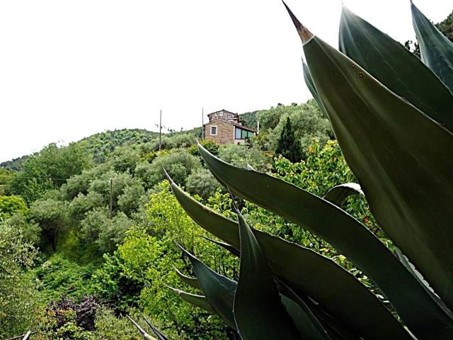 Villa Indipendente in vendita a Collina, Capannori