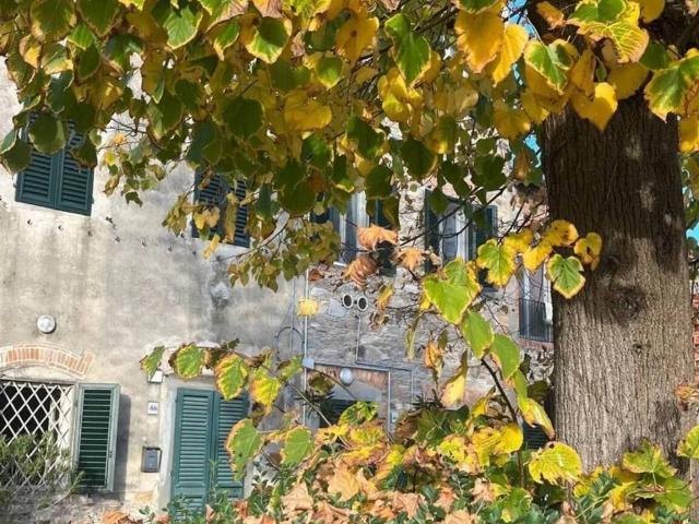 Villa Indipendente in vendita a Verciano, Capannori