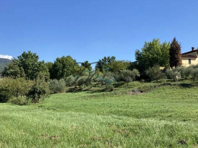Villa Indipendente in vendita a Camigliano, Capannori