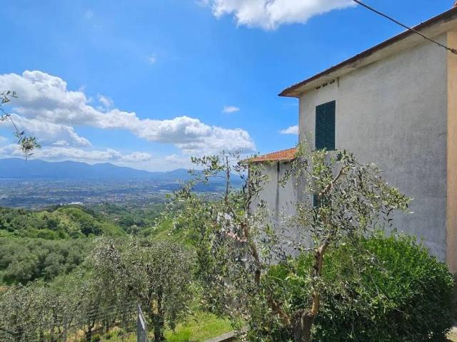 Villa Indipendente in vendita a Capannori, Toscana