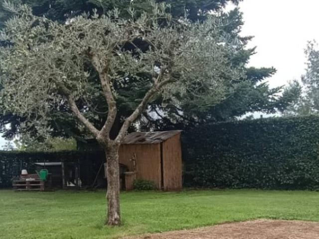 Villa Indipendente in vendita a Capannori, Lucca