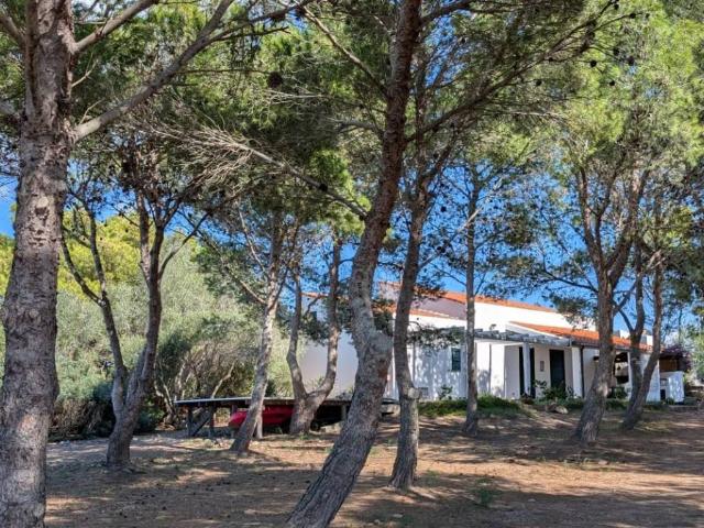 Villa Indipendente in vendita a Carloforte, Sardigna/Sardegna