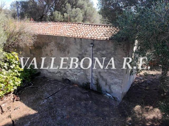 Villa Indipendente in vendita a Carloforte, Sardigna/Sardegna