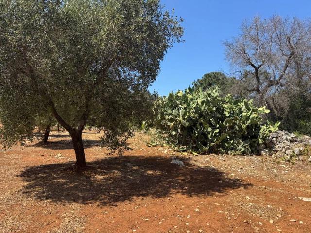 Villa Indipendente in vendita a Puglia, Brindisi