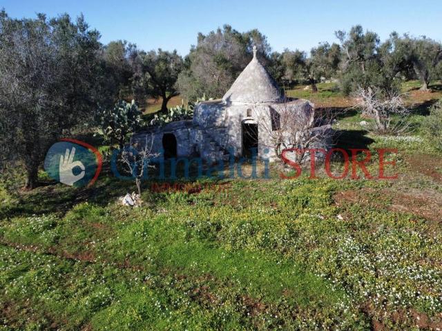 Villa Indipendente in vendita a Carovigno, Brindisi