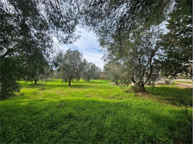 Villa Indipendente in vendita a Puglia, Brindisi