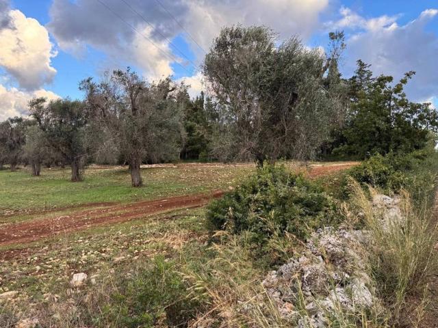 Villa Indipendente in vendita a Puglia, Brindisi
