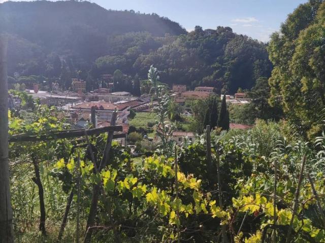 Villa Indipendente in vendita a Perticata, Carrara