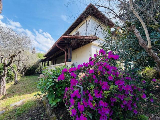 Villa Indipendente in vendita a Pontecimato, Carrara