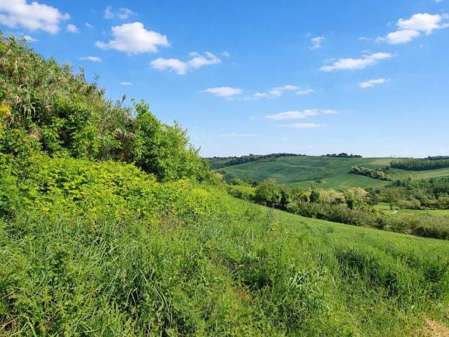 Villa Indipendente in vendita a Piemonte, Alessandria
