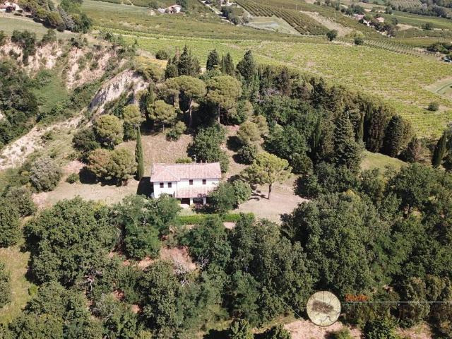 Villa Indipendente in vendita a Nuovo Circondario Imolese, Casalfiumanese