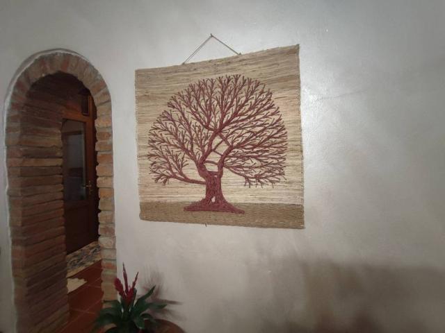 Villa Indipendente in vendita a Casalmaggiore, Lombardia