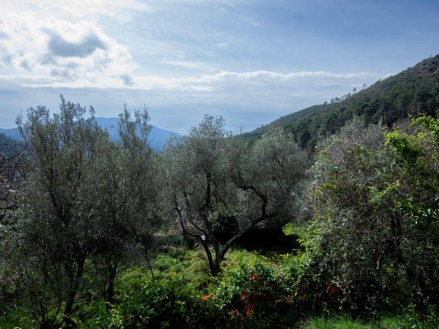 Villa Indipendente in vendita a Bargone, Casarza Ligure