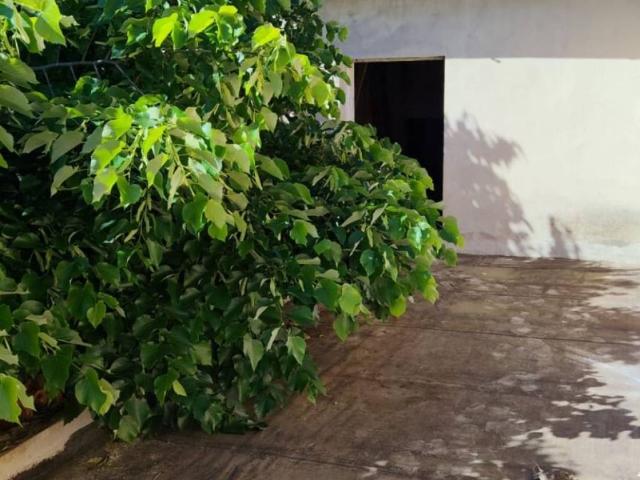 Villa Indipendente in vendita a Cascina, Toscana