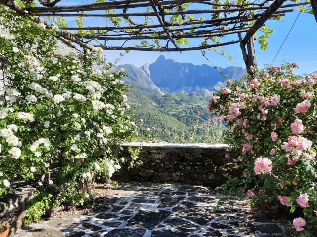 Villa Indipendente in vendita a Unione di comuni Montana Lunigiana, Codiponte
