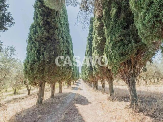Villa Indipendente in vendita a Paranzano, Casperia
