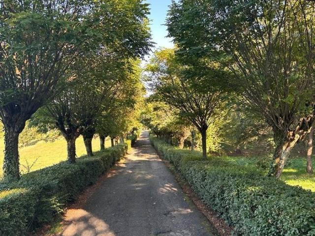 Villa Indipendente in vendita a Piemonte, Alessandria