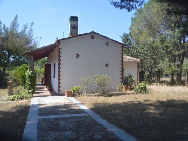 Villa Indipendente in vendita a Bolgheri, Toscana