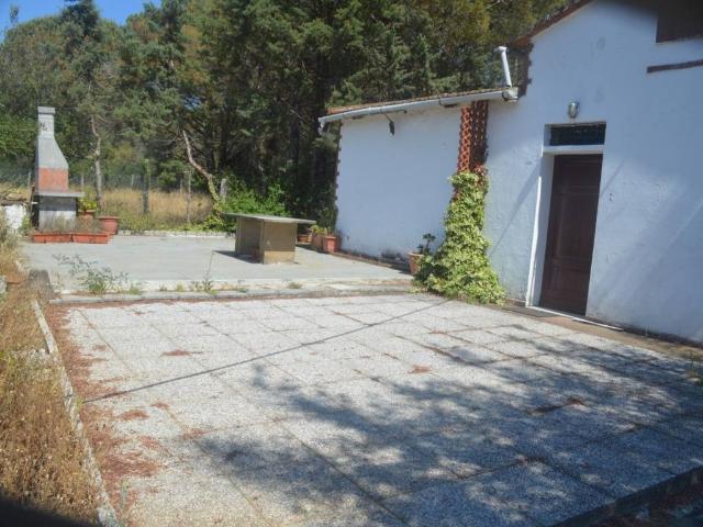 Villa Indipendente in vendita a Bolgheri, Toscana