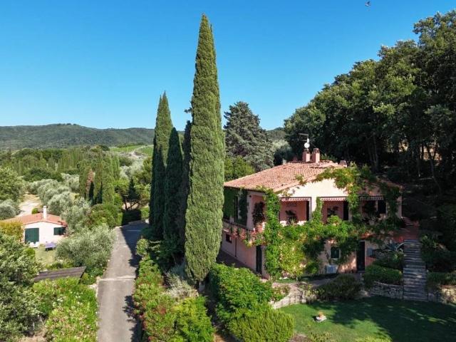 Villa Indipendente in vendita a Bolgheri, Toscana