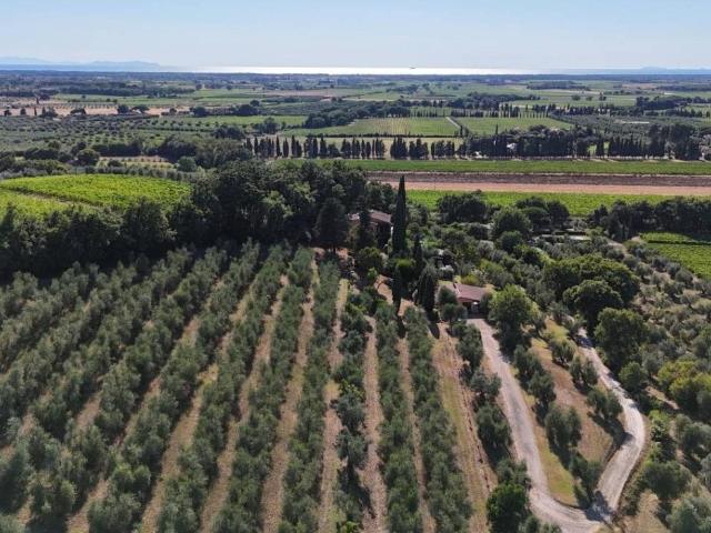 Villa Indipendente in vendita a Bolgheri, Toscana