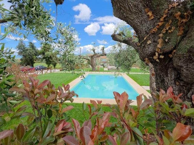 Villa Indipendente in vendita a Bolgheri, Toscana