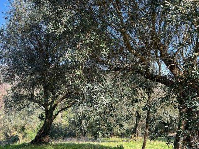 Villa Indipendente in vendita a Squille, Castel Campagnano