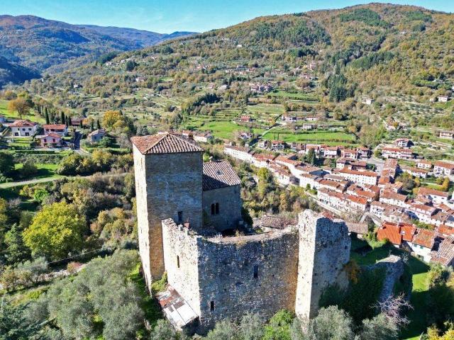 Villa Indipendente in vendita a Castel San Niccolò, Toscana