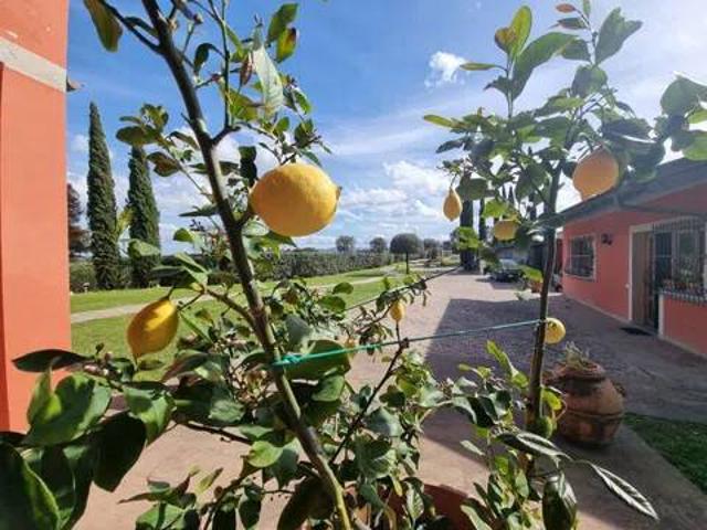 Villa Indipendente in vendita a Unione dei Comuni Circondario dell'Empolese Valdelsa, Castelfiorentino