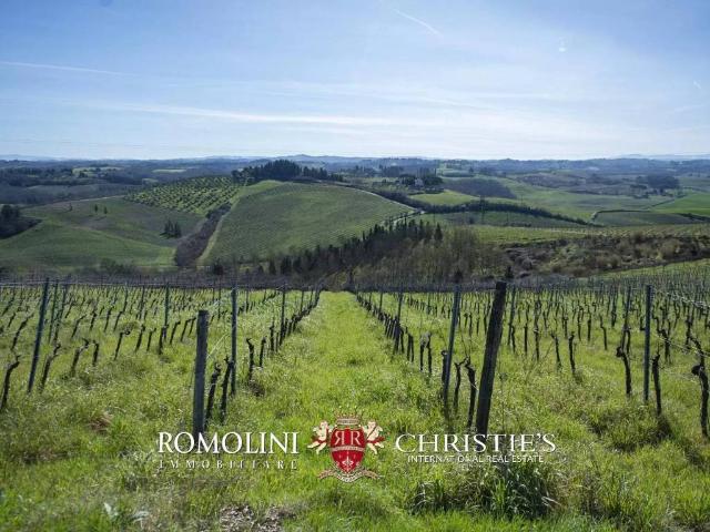 Villa Indipendente in vendita a Unione dei Comuni Circondario dell'Empolese Valdelsa, Castelfiorentino